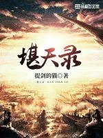 《堪天录》小说封面