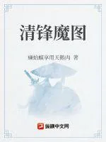 《清锋魔图》小说封面