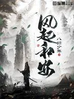 《风起和安》小说封面