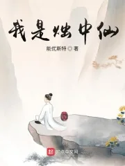 《我是烛中仙》小说封面