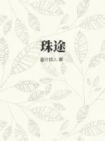 《珠途》小说封面