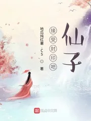 《接受封印吧，仙子》小说封面