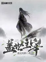 《盖世主宰》小说封面