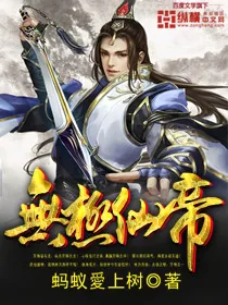 《无极仙帝》小说封面