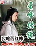 《星峰传说》小说封面