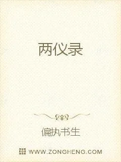 《两仪录》小说封面