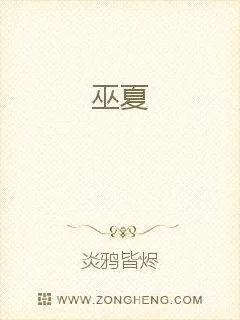 《巫夏》小说封面