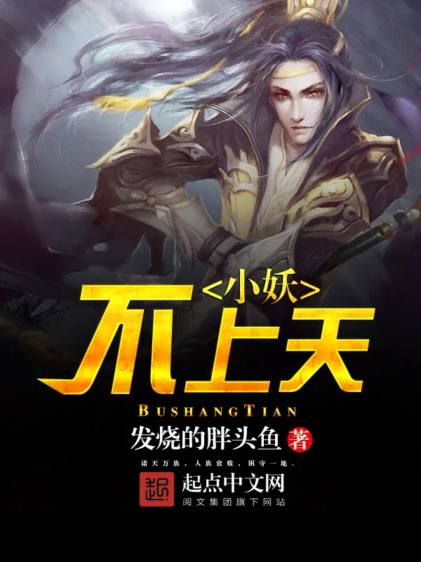 《小妖不上天》小说封面