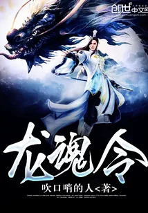 《龙魂令》小说封面