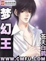 《梦幻王》小说封面