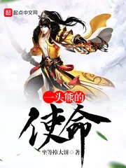《一头熊的使命》小说封面