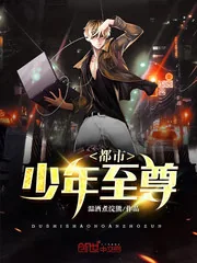 《都市少年至尊》小说封面