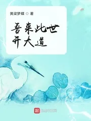 《吾来此世开大道》小说封面