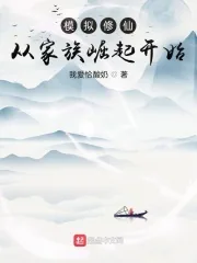 《模拟修仙:从家族崛起开始》小说封面