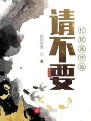 《请不要打扰我修仙》小说封面