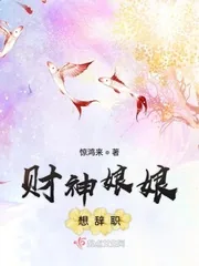 《财神娘娘想辞职》小说封面