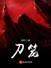 《刀笼》小说封面