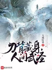 《刀背藏身，人间武圣》小说封面