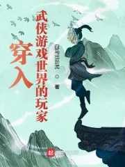 《穿入武侠游戏世界的玩家》小说封面