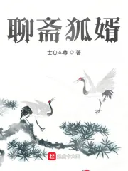 《聊斋狐婿》小说封面