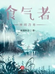 《食气者，神明而寿》小说封面