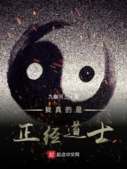 《我真的是正经道士》小说封面