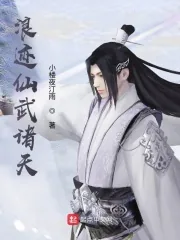 《浪迹仙武诸天》小说封面
