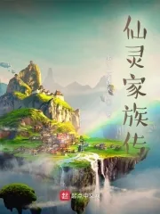 《仙灵家族传》小说封面