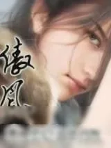 《傲风》小说封面
