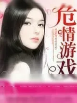 《危情游戏》小说封面