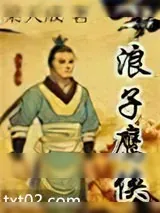 《浪子鹰侠》小说封面