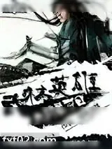 《武林英雄之新星夺目》小说封面