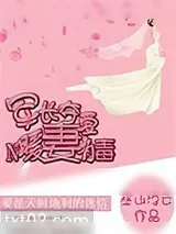 《军长夺爱,暖妻有毒》小说封面