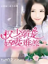 《权少溺宠,娇妻难养》小说封面