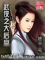 《武侠之大11》小说封面