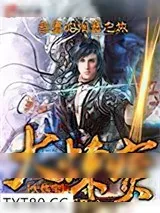 《大炼宝》小说封面