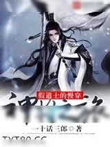 《穿越的神将》小说封面