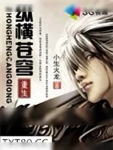 《重生之纵横苍穹》小说封面