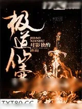 《极道仙壶》小说封面