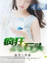 《疯狂的石头》小说封面