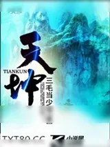 《天坤》小说封面