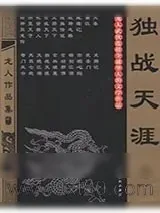 《独战天涯》小说封面