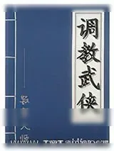 《调教武侠》小说封面