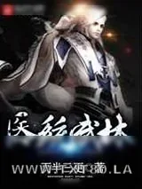 《医统武林》小说封面