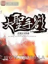 《大圣手札》小说封面