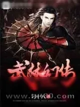 《武林幻传》小说封面