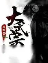 《大武宗》小说封面