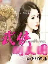 《武侠朋友圈》小说封面