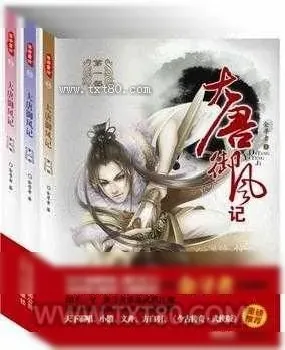 《大唐御风记》小说封面