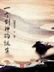 《一个剑神的诞生》小说封面